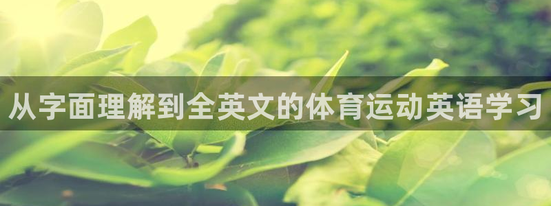 公海赌赌船官方正版app集团官网首页：从字面理解到全