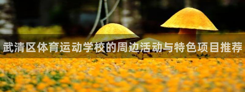 公海赌赌船官网下载平台注册：武清区体育运动学校的周边