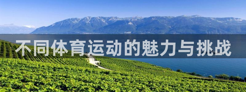 公海赌赌船官网下载官方客服电话：不同体育运动的魅力与