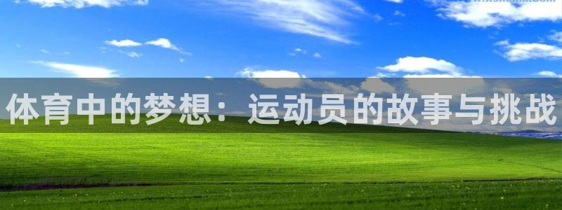 公海赌赌船官网下载平台是正规平台吗：体育中的梦想：运