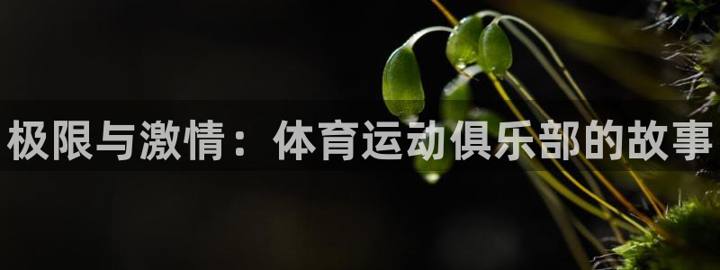 公海赌赌船官网下载招商电话地址查询：极限与激情：体育运动俱乐
