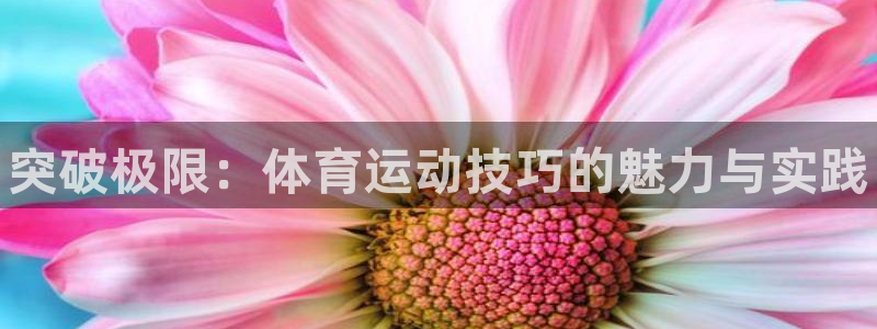 公海赌赌船官网下载平台是正规平台吗：突破极限：体育运