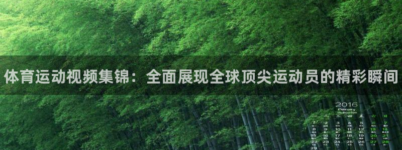公海赌赌船官方正版app娱乐40996：体育运动视频集锦：全