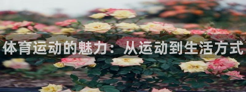 公海赌赌船官网下载平台注册要钱吗安全吗：体育运动的魅