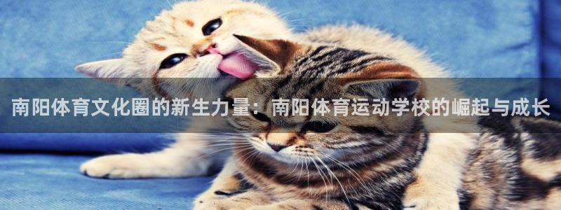 公海赌赌船官网下载招商电话号码是多少啊：南阳体育文化圈的新生