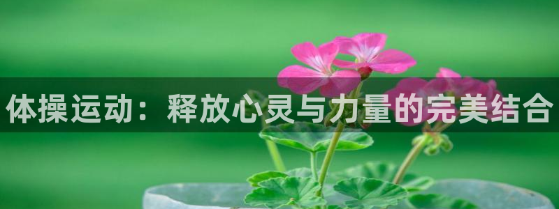 海南公海赌赌船官网下载发展怎么样：体操运动：释放心灵与力量的