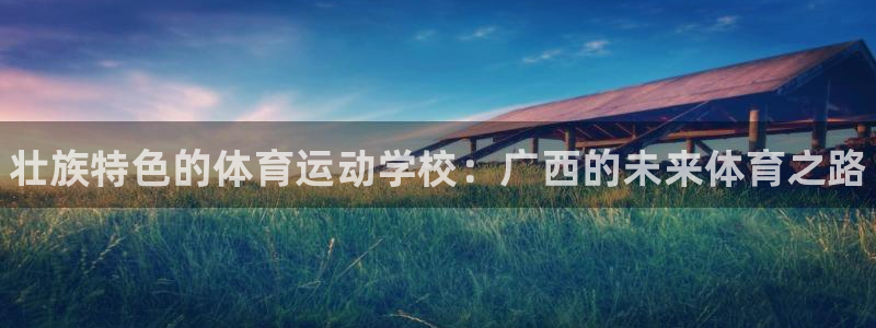 公海赌赌船官方正版app科技：壮族特色的体育运动学校：广西的