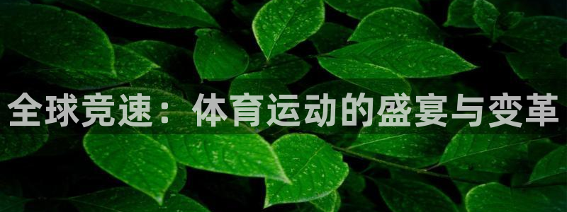 公海赌赌船官网下载招商电话地址查询：全球竞速：体育运