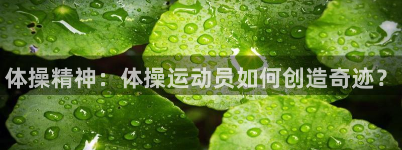公海赌赌船官方正版app神州：体操精神：体操运动员如何创造奇