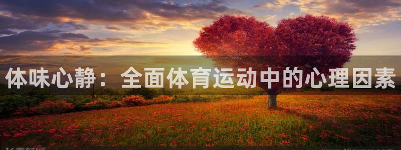 公海赌赌船官方正版app新能源