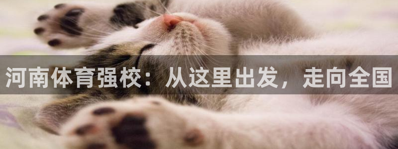 公海赌赌船官方正版app集团：河南体育强校：从这里出发，走向