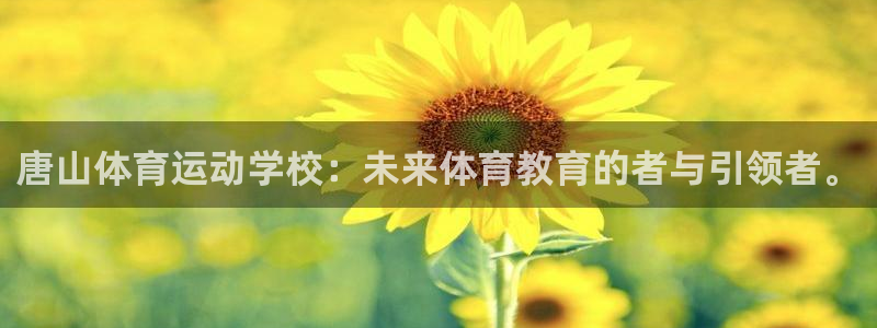 公海赌赌船官方正版app集团E.ON：唐山体育运动学