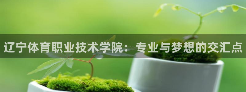 德国公海赌赌船官方正版app集团：辽宁体育职业技术学院：专业