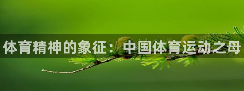 海南公海赌赌船官网下载发展怎么样：体育精神的象征：中国体育运