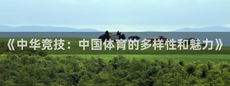 德国公海赌赌船官方正版app集团