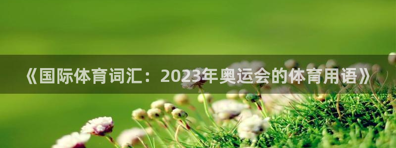 公海赌赌船官方正版app娱乐是那个系列的台子：《国际体育词汇