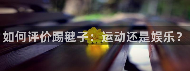 德国公海赌赌船官方正版app集团：如何评价踢毽子：运动还是娱