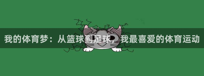 公海赌赌船官方正版app娱乐下载：我的体育梦：从篮球到足球，