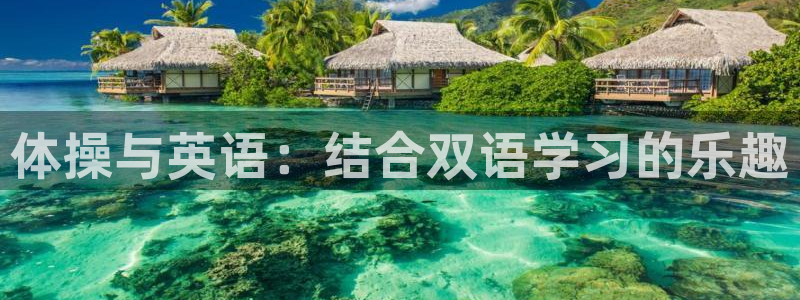 公海赌赌船官方正版app新能源：体操与英语：结合双语学习的乐