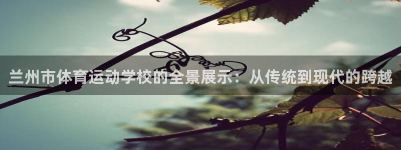 公海网络怎么办