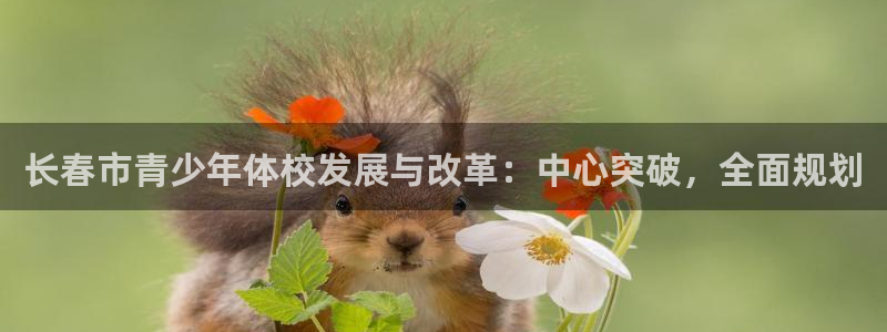公海 网络