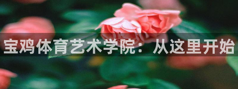 公海wifi：宝鸡体育艺术学院：从这