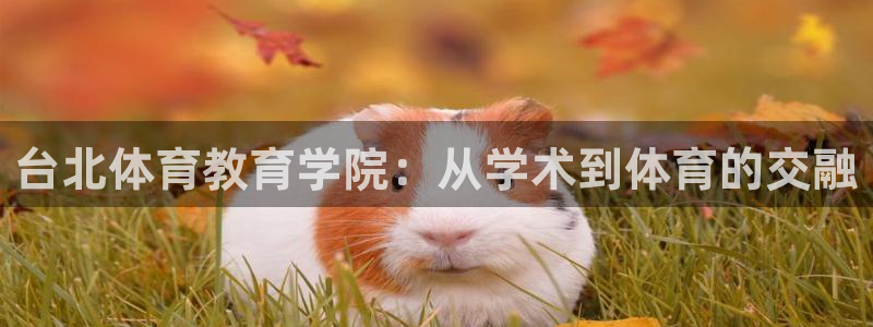 公海网站赌船船可靠吗?