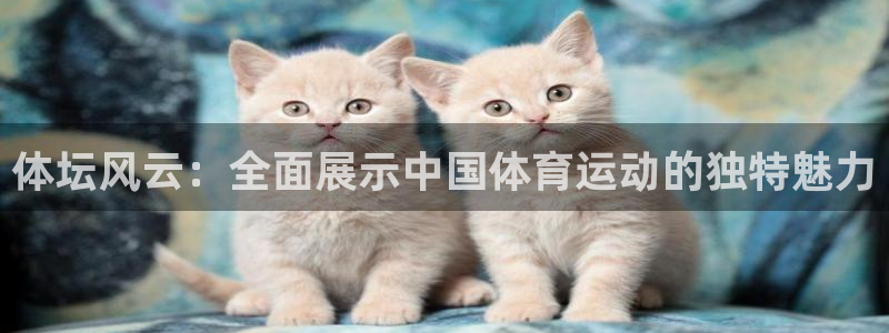 下载公海手机版@710