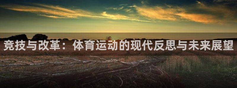 公海赌赌船官网jc710取款说我注单