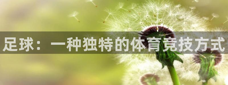  公海强风暴完整版：足球：一种独特的体育竞技方式