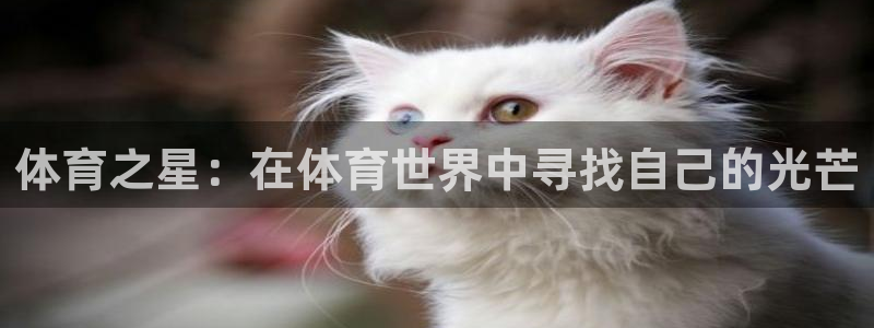 7108公海官网：体育之星：在体育世界中寻找自己的光芒