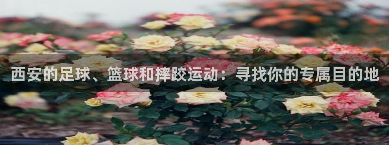 公海710官方寰宇浏览器：西安的足球、篮球和摔跤运动：寻找你