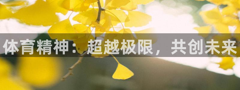  公海强军风暴：体育精神：超越极限，共创未来