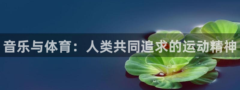 公海gh555000怎么进不去了：音