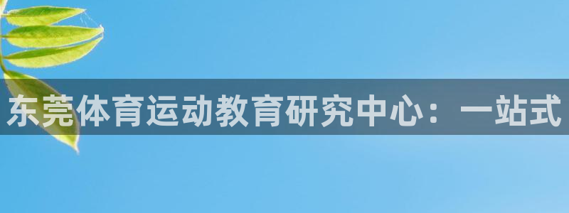 公海有网络吗：东莞体育运动教育研究中