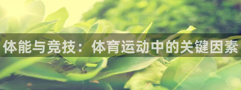 公海有网吗：体能与竞技：体育运动中的