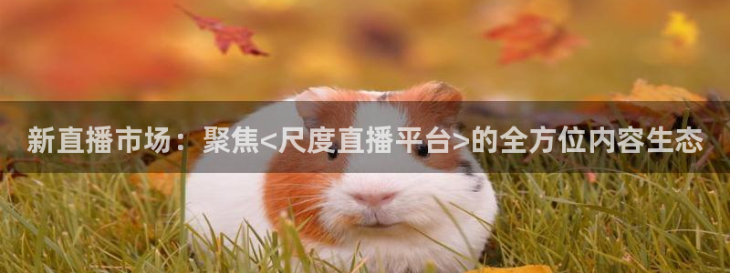 搜球体育：新直播市场：聚焦<尺度直播平台>的全方位内容生态